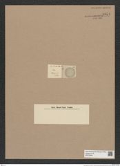 Coscinodiscus sp. (de-Toni-Nr.: Genus 202) Zeichnungen Sammlung Grunow Nr. 8954 (NHMW-BOT-W0378640)